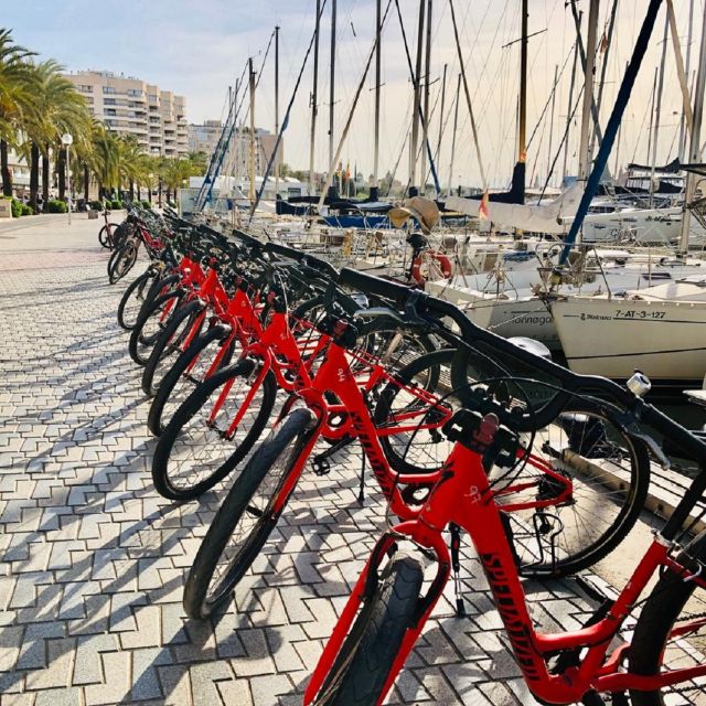 Palma de Mallorca: Guided Bicycle Tour with Tapas & a Drink - Starting at Av. de Gabriel Roca and Getting Your Bearings
