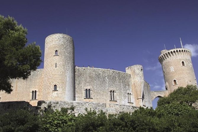 Palma de Mallorca Guided Tour with Hotel Pick up - Stop 4: Plaça Major and the feel of Palma’s mixed centuries