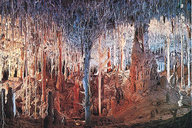 Palma de Mallorca Half-Day to Caves of Hams, Blue Cave and film - Inside the Caves of Hams: stalactites, lakes, and the show that lands