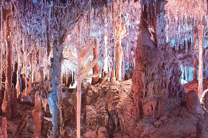 Palma de Mallorca Half-Day to Caves of Hams, Blue Cave and film - Value for $57: what you’re really paying for