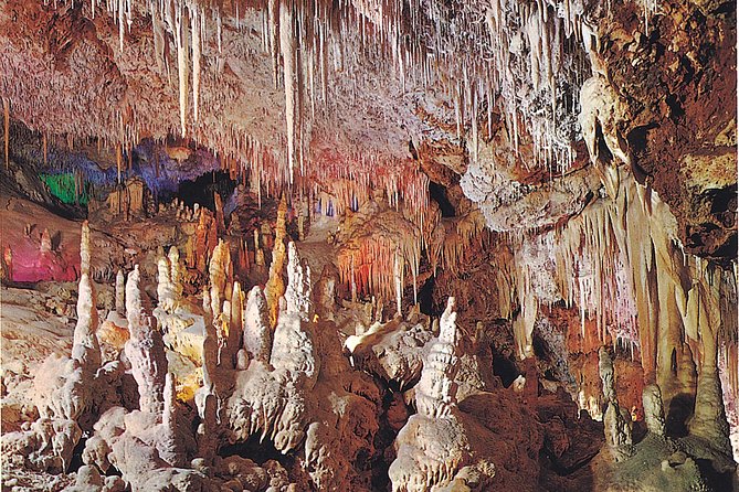 Palma de Mallorca Half-Day to Caves of Hams, Blue Cave and film - Who should book this half-day Hams tour from Palma