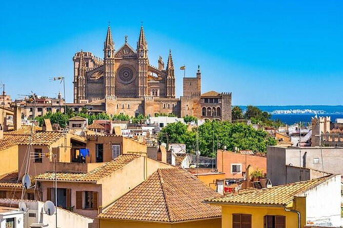 Palma de Mallorca Must-See Attractions Walking Tour With A Guide - Palau de l’Almudaina and Parc de la Mar: royal walls and sea air