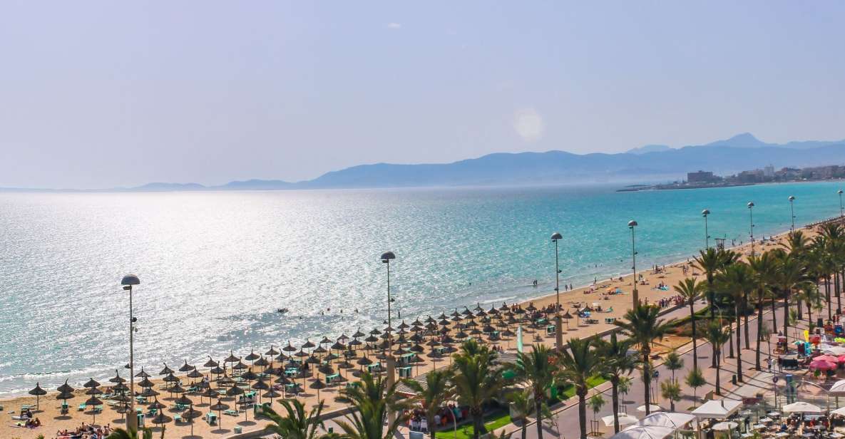 Palma de Mallorca: Palma and Playa de Palma - Guide experience: the human part of a smooth day