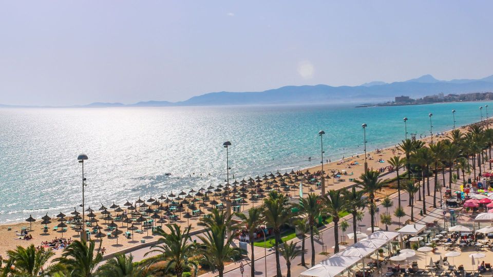 Palma de Mallorca: Palma and Playa de Palma - Price and value: is $51 fair for Palma plus Playa de Palma?