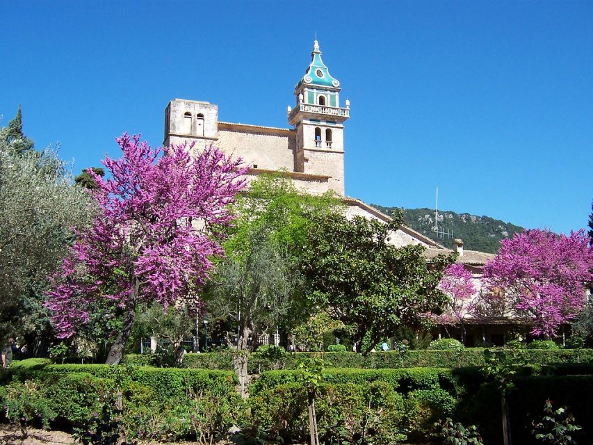 Palma de Mallorca: Palma and Valldemossa free time - Should you book the Palma and Valldemossa free-time experience?
