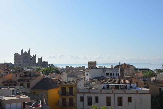 Palma de Mallorca Shore Excursion Bike Tour (Transfer Included) - From cruise terminal to bikes: what the first hour actually feels like