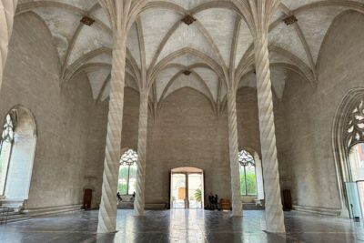Palma de Mallorca Shore Excursion Bike Tour (Transfer Included) - Why this Palma sightseeing beats walking (and lets you see more)