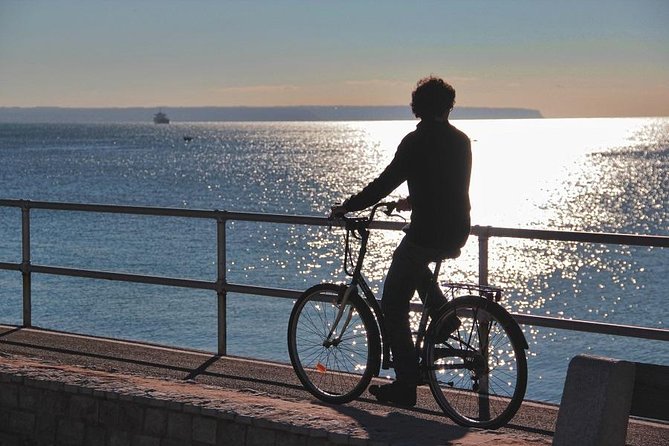 Palma de Mallorca Shore Excursion Bike Tour (Transfer Included) - Es Baluard: bay views plus a quick lesson you’ll actually remember