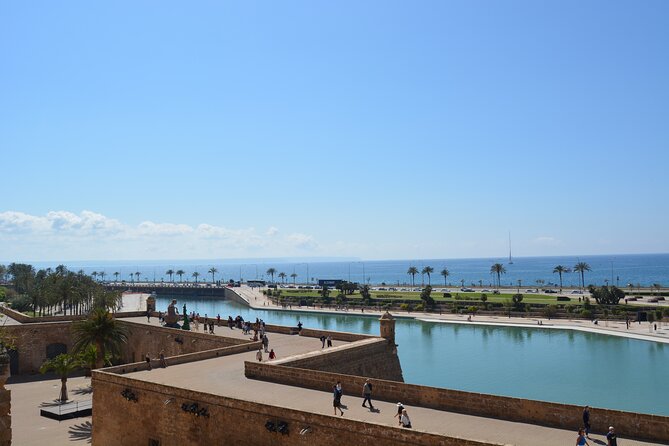 Palma de Mallorca Shore Excursion Bike Tour (Transfer Included) - La Seu (Palma Cathedral) and what to know about the ticket