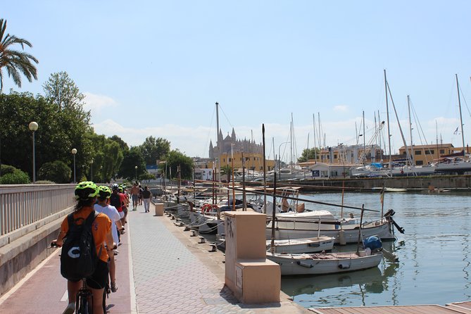 Palma de Mallorca Shore Excursion Bike Tour (Transfer Included) - Palau de l’Almudaina: Moorish roots and royal views over sea and city