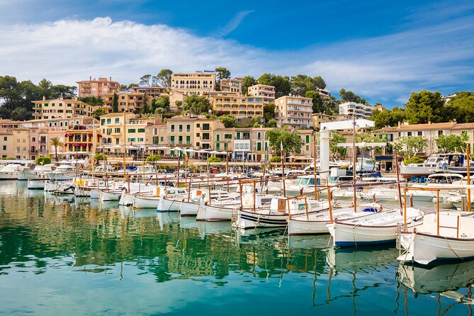 Palma de Mallorca Shore Excursion: Palma, Deia and Sa Foradada - Guides, communication, and why the private format can be a big deal