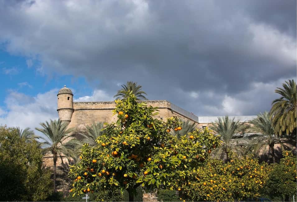 Palma de Mallorca: Small-Group Tour & Fast-Track Cathedral - Baluard area finish near Plaça de la Drassana: closing with the modern coast