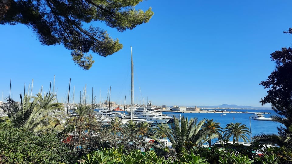 PALMA DE MALLORCA & SOLLER MIT BAHN & STADTFÜHRUNG ab Palma - Sóller on your own: cathedral, market square, and the orange-city feel