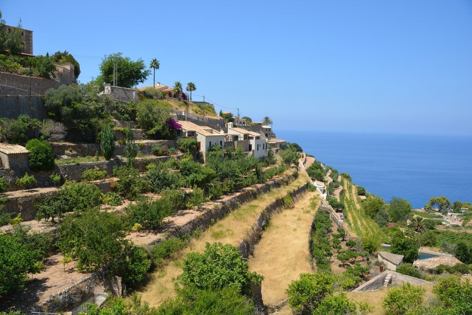 Palma de Mallorca: Son Juliana Wine Experience and Tasting - Key Highlights You’ll Care About