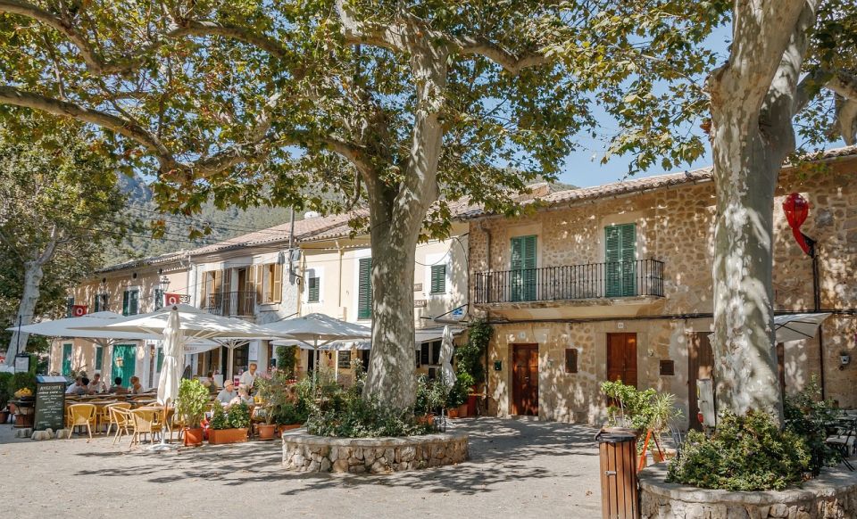 Palma de Mallorca: Son Juliana Wine Experience and Tasting - Palma de Mallorca Wine Without the Big-Tour Feel