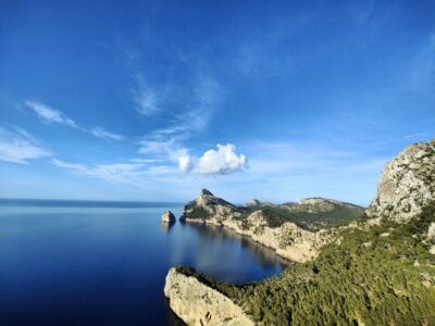 Palma de Mallorca: Son Juliana Wine Experience and Tasting - What Happens During the 2-Hour Son Juliana Experience