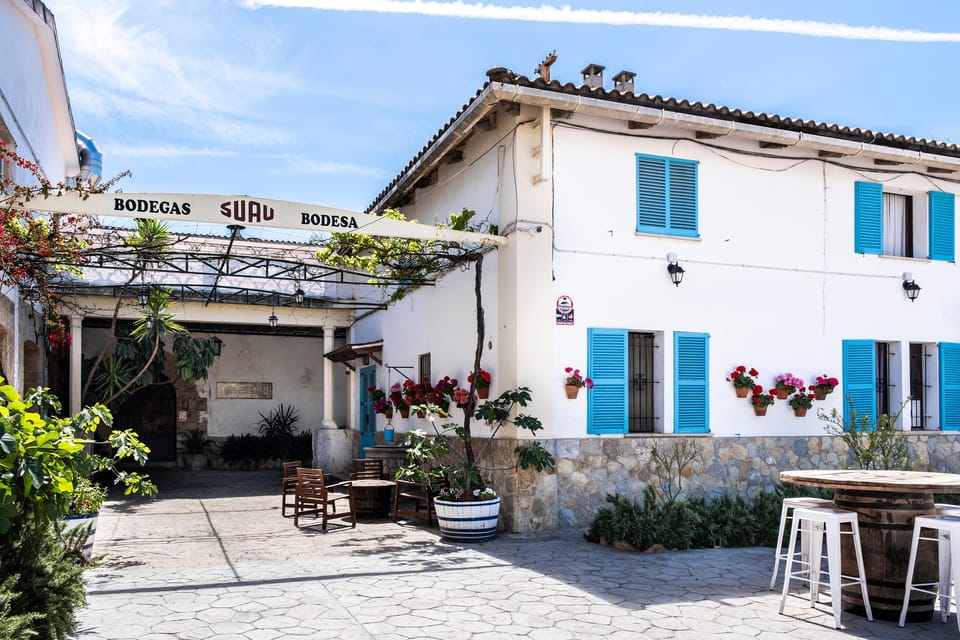 Palma: Distillery Tour with 3 Spirits and Tapas Tasting - Key points at a glance