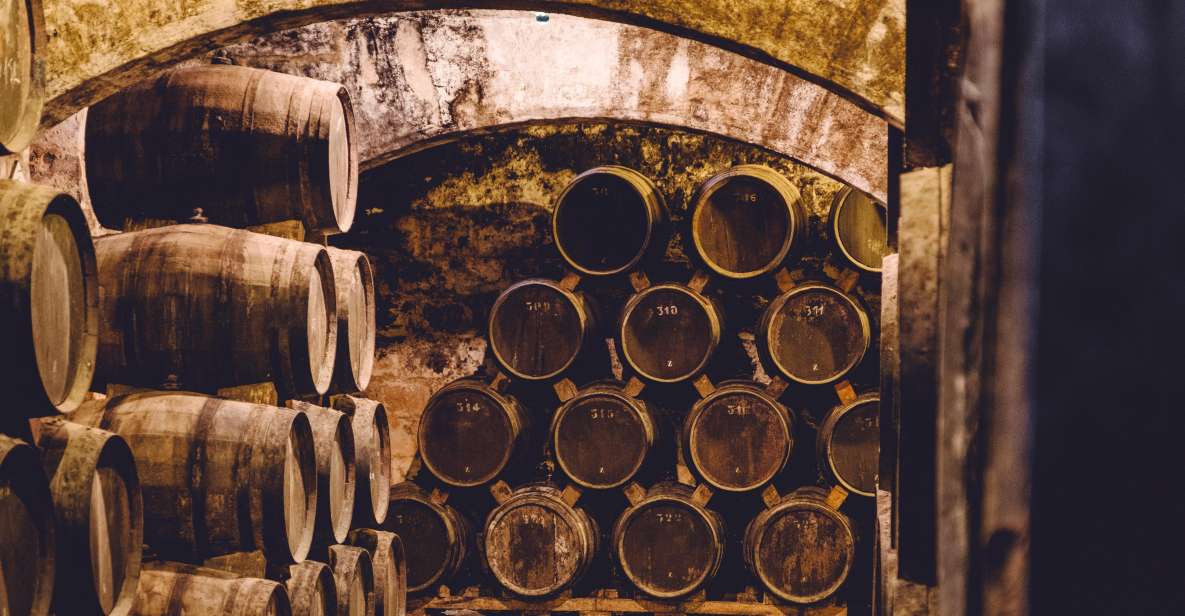 Palma: Distillery Tour with 3 Spirits and Tapas Tasting - The guide experience: certified educator, clear storytelling