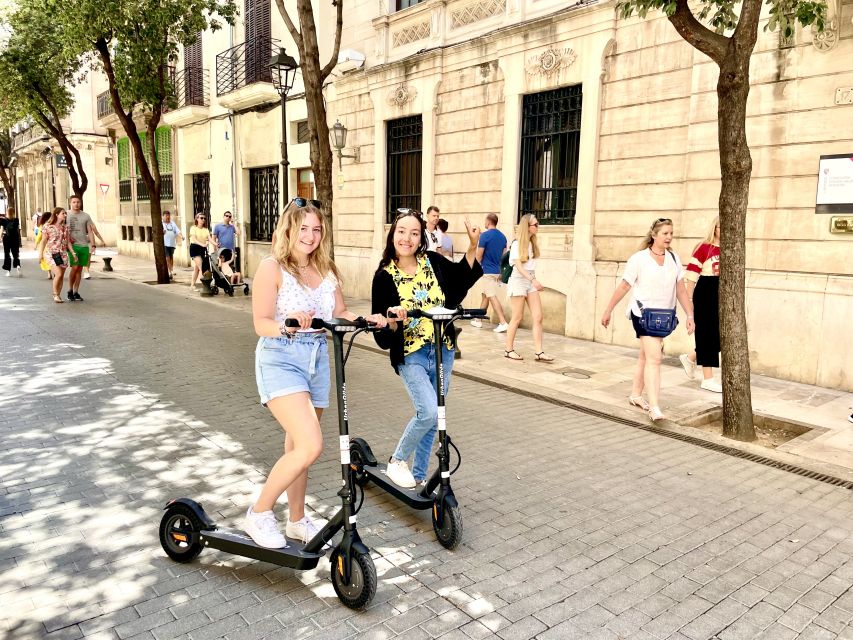 Palma: Guided 1.5 H city tour on Electric scooter - Where You Start in Palma (and Why That Location Helps)