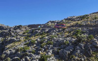 Palma: Mallorca Island Tour Via Boat, Train, and Bus - Starting from Palma: meeting point and the first drive to Lluc