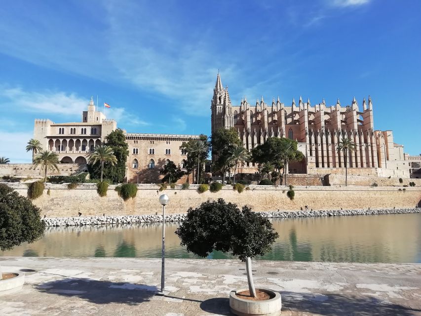 Palma old town for the first time - Parc de la Mar to Palma Cathedral: Why That View Changes Everything