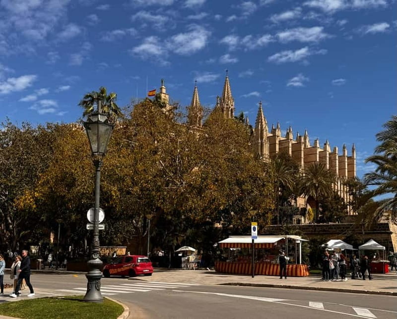 Palma Old Town Insider Tour with visit of the Cathedral - Almudaina Palace and the Royal Gardens: royal power with a softer edge