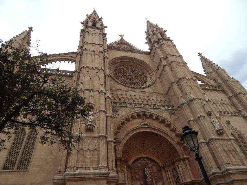 Palma: Old Town Walking Tour & Cathedral Skip-the-Line - Getting Oriented in Palma Old Town, Starting at the Tourist Office