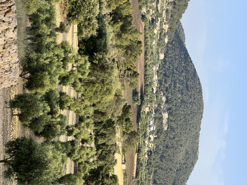 Palma: Orange Farm, Olive Mill, & Winery Tour with Tastings - Key Highlights You’ll Actually Care About