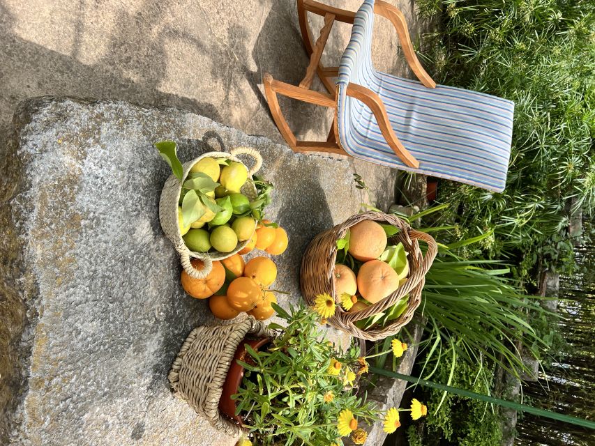 Palma: Orange Farm, Olive Mill, & Winery Tour with Tastings - Orange, Olive, Wine: Why This 7-Hour Loop Works