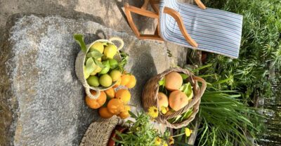 Palma: Orange Farm, Olive Mill, & Winery Tour with Tastings - Getting to the Tramuntana: Pickup and Van Time