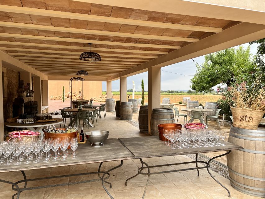 Palma: Orange Farm, Olive Mill, & Winery Tour with Tastings - Winery Guided Tour and the 3-Wine Tasting