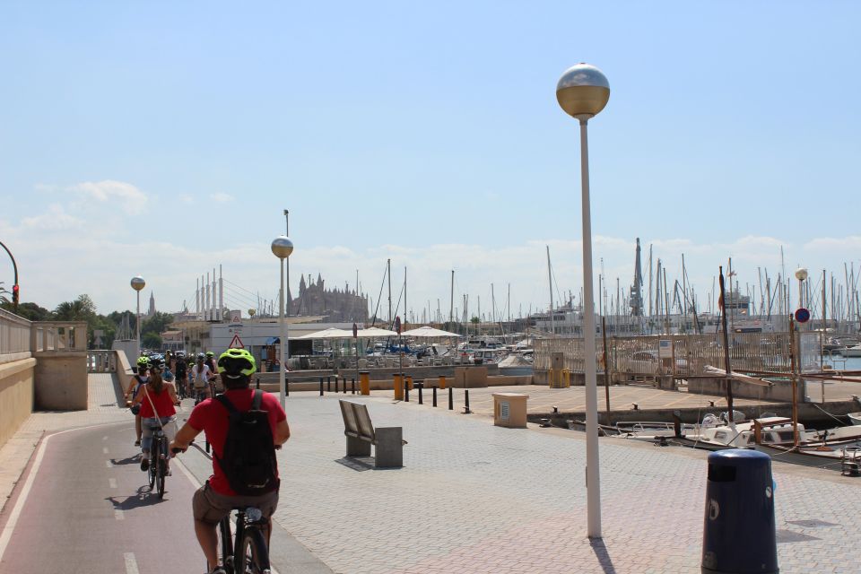 Palma Shore Excursion Bike Tour (Transfer Included) - Palma Cathedral crescendo: Gothic architecture, quick look, smart positioning