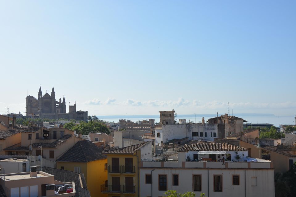 Palma Shore Excursion Bike Tour (Transfer Included) - Es Baluard Museum area: a viewpoint-focused kickoff