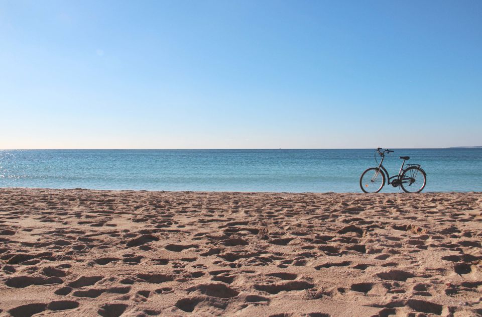 Palma Shore Excursion Bike Tour (Transfer Included) - Parc de la Mar and the bay ride: feeling Palma’s sea air