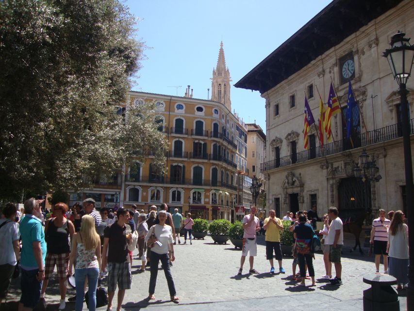Palma Tour with Wine and Tapas Tasting - Wine tasting in Palma’s historic center