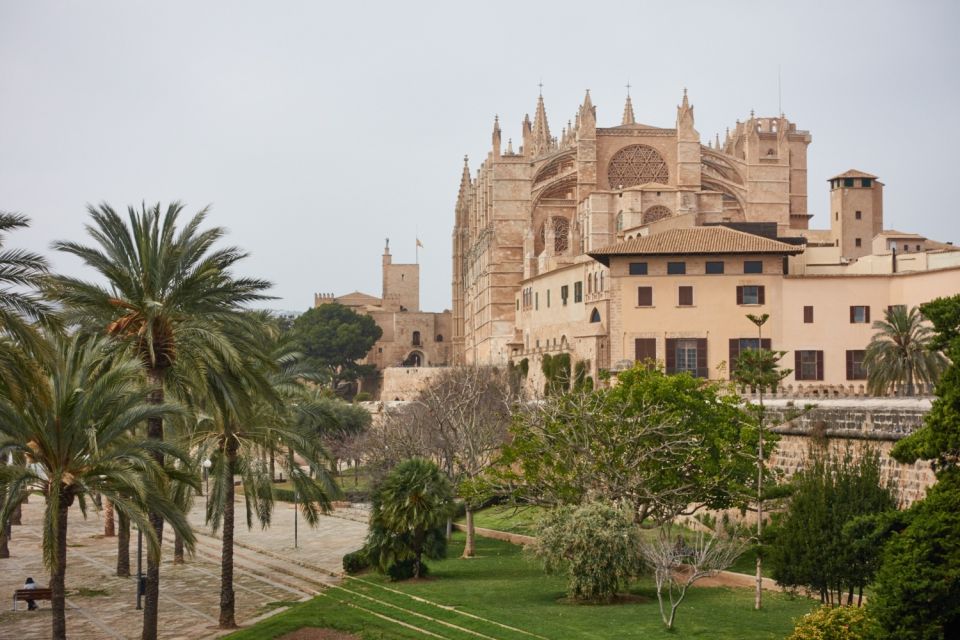 Palma: Walking Tour with Mediterranean Delicacies - Mercat de l’Olivar: tasting Mediterranean food with context