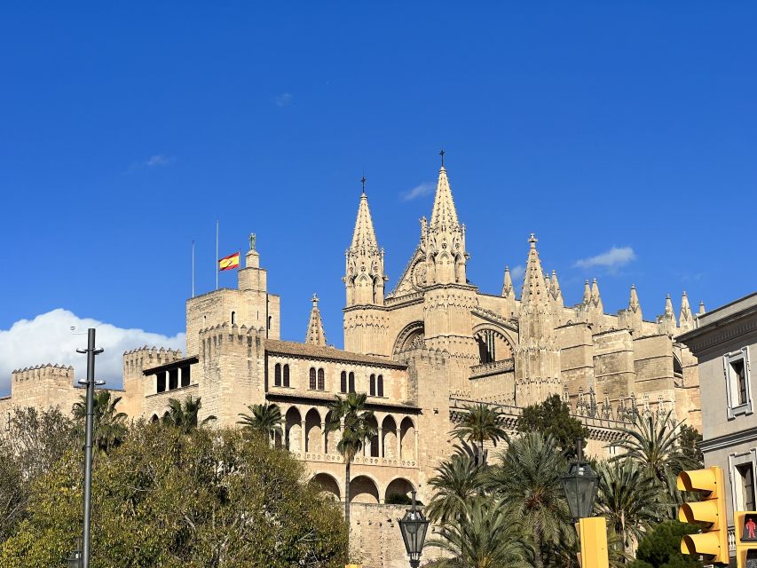 Palmas sightseeing highlights in a private and exclusive way - Why this 2-hour Palma highlights tour feels different