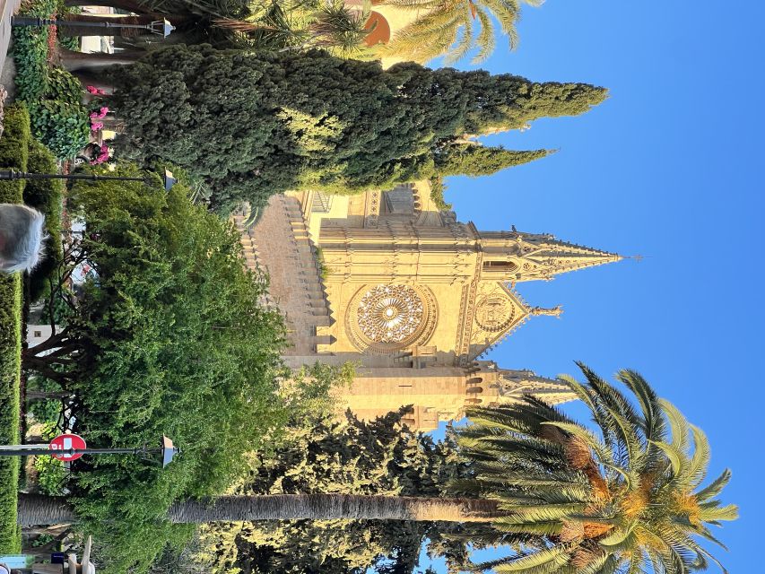Palmas sightseeing highlights in a private and exclusive way - Cobblestones, quick context, and the way Gothic buildings start to click