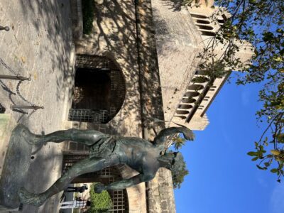 Palmas sightseeing highlights in a private and exclusive way - Starting where Palma gets its royal vibe: Av. d’Antoni Maura and the Royal Gardens