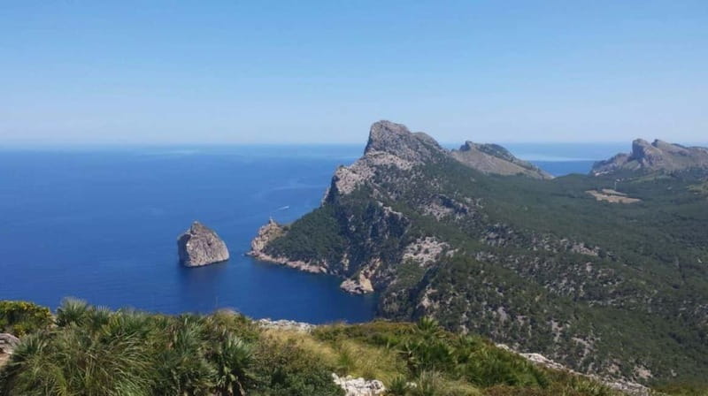 Peguera: Half Day Slingshot Tour - Route Highlights: Palma and the Paseo Marítimo Drive