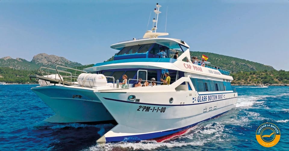 Pollença: Dolphin Watching Boat Excursion - Catching the sunrise: the 20-minute moment that sets the tone