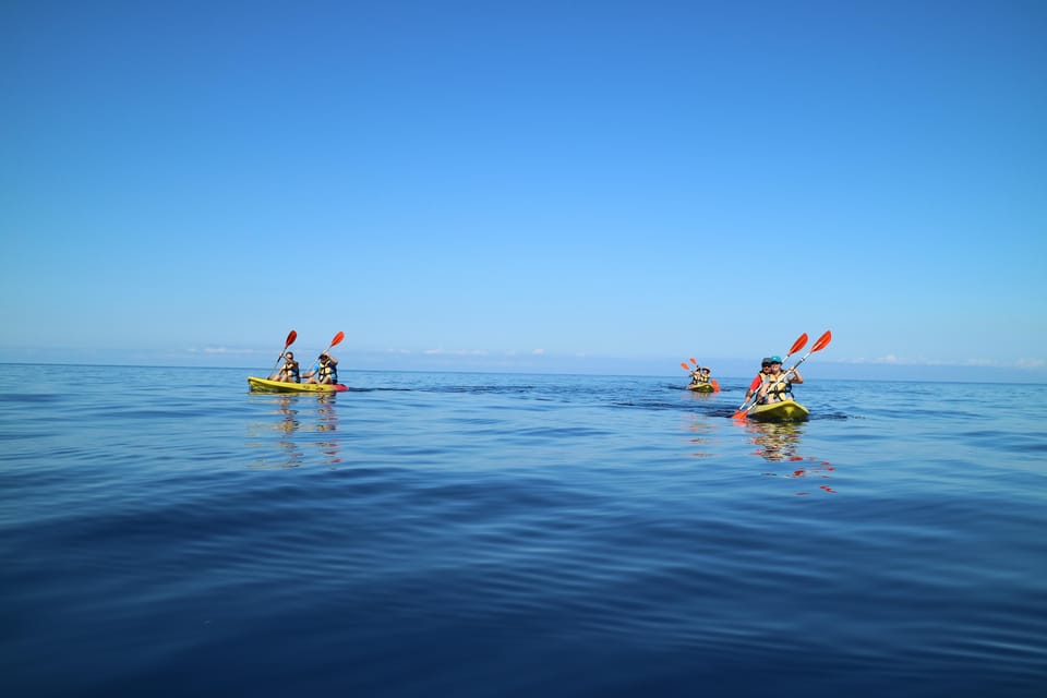 Pollença: Kayak and Coasteering Cliff Jumping - Learning kayak navigation on the way to Cala Sant Vicenç