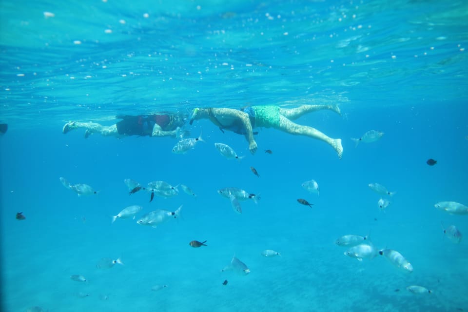 Pollença: Kayak and Coasteering Cliff Jumping - The adventure zone only accessible by sea