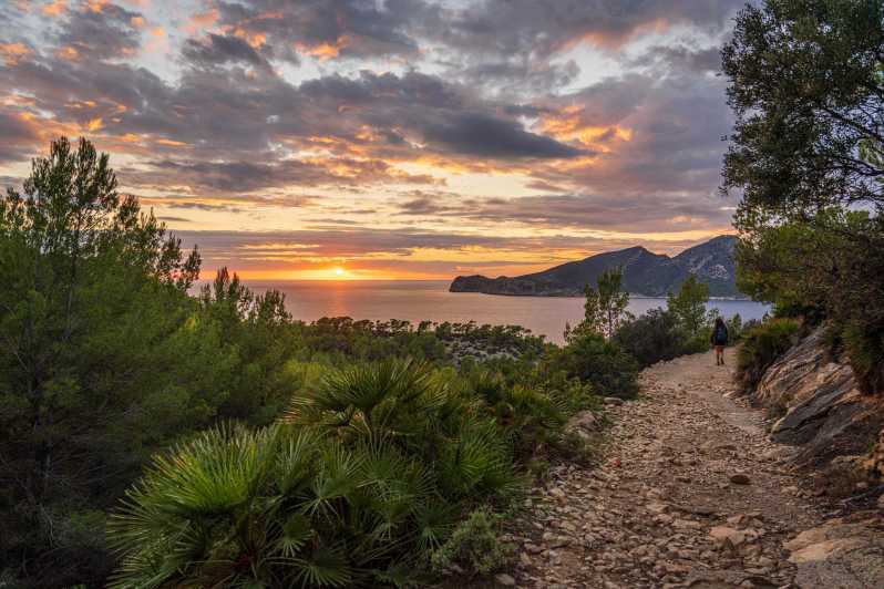Port Andratx: Guided hiking tour into the sunset to Sant Elm - Sunset Hike From Port Andratx to Sant Elm: The Real Value