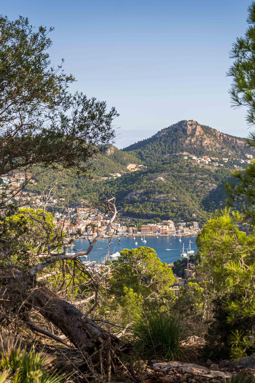 Port Andratx: Guided hiking tour into the sunset to Sant Elm - Languages, Group Size, and Why It Changes the Hike