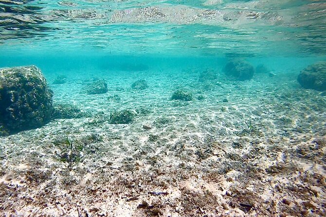 Private Boat Tour from Palma with Snorkeling and Paddle Surfing - Price and value check: $470.66 per group, and how to decide if it’s worth it