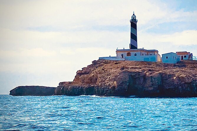 Private Boat Tour from Palma with Snorkeling and Paddle Surfing - Who should book this Palma private boat day