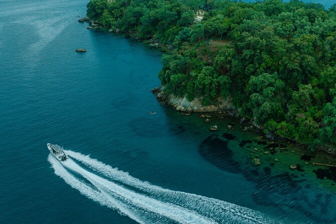 Private Half Day Cruise on a Speed Boat in Mallorca - Price and Value: When $1,297.58 Per Group Makes Sense