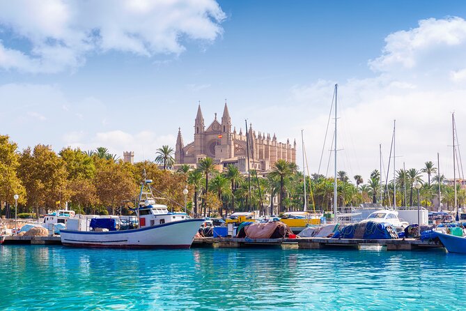 Private Shore Excursion to Valldemossa and Palma de Mallorca - Key things that make this shore day work