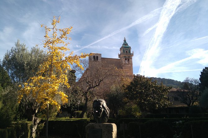 Private tour for my family from a cruise - Cruise to Mallorca countryside: how the day stays easy
